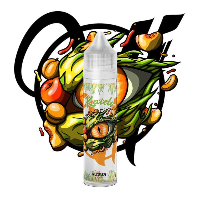 Kaido 50ml - Vape Institut